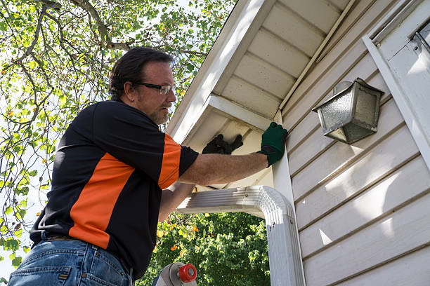 Best Hoarding Cleanup  in Albany, WI